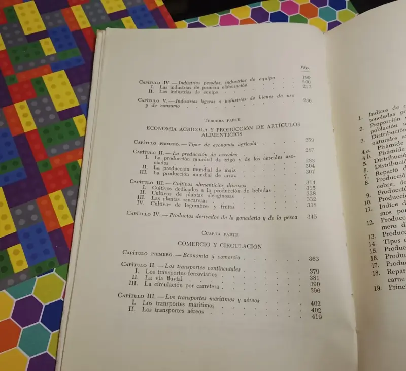 Libro Geografía Económica - 4