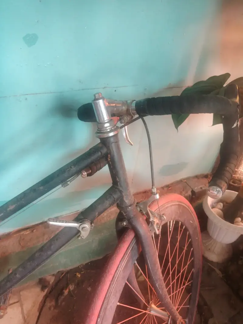 Bicicleta pistera usada - 2
