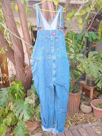 Jardinera dickies - miniatura 1