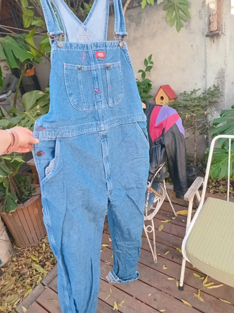 Jardinera dickies - 2