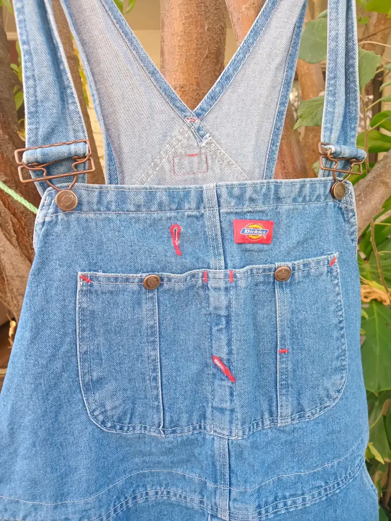 Jardinera dickies - 3