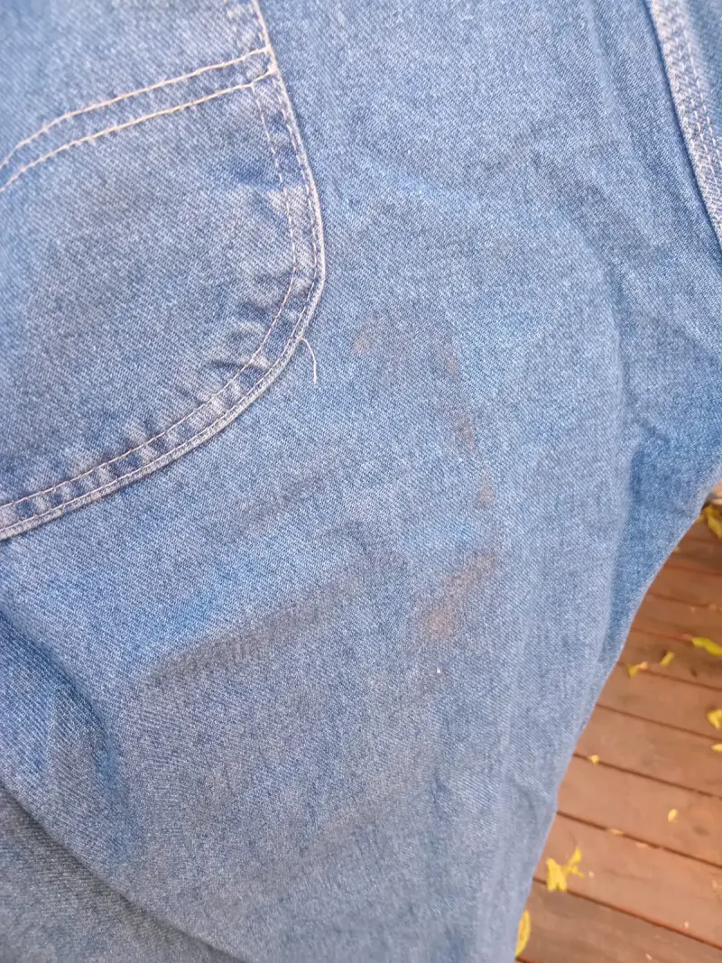 Jardinera dickies - 4