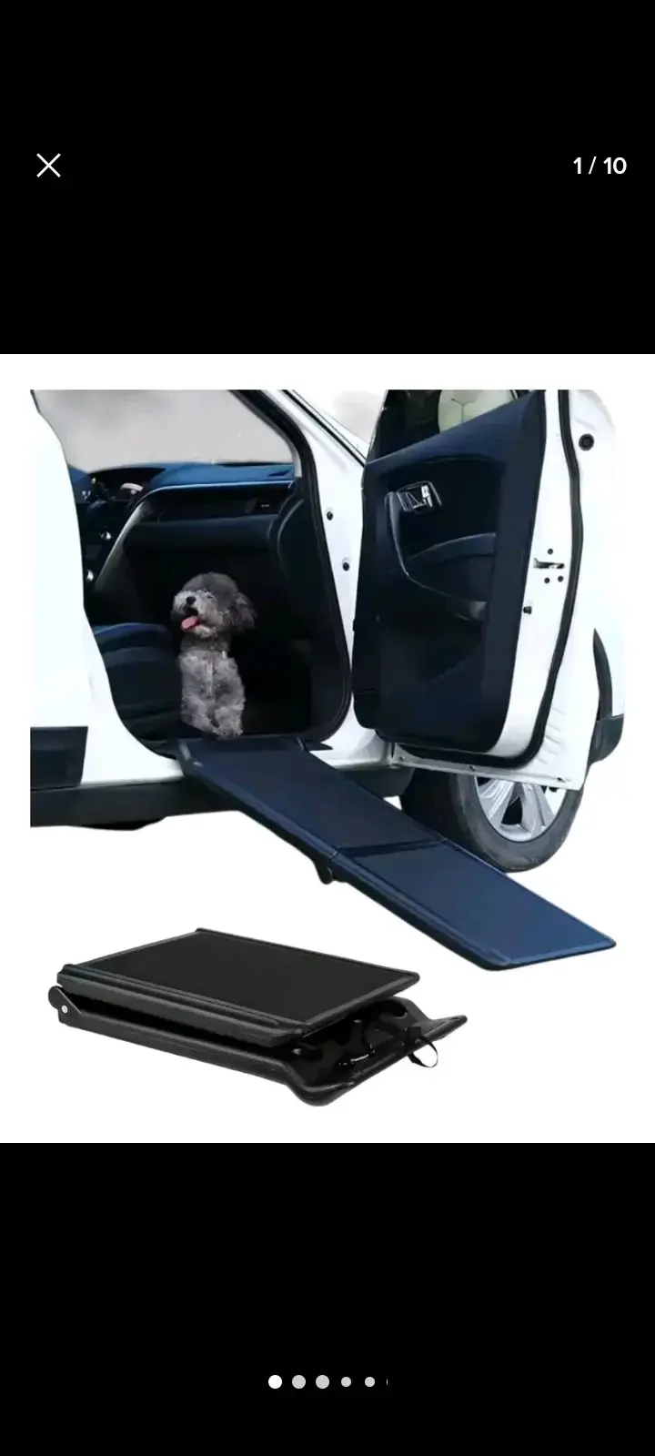 Rampa plegable para mascotas