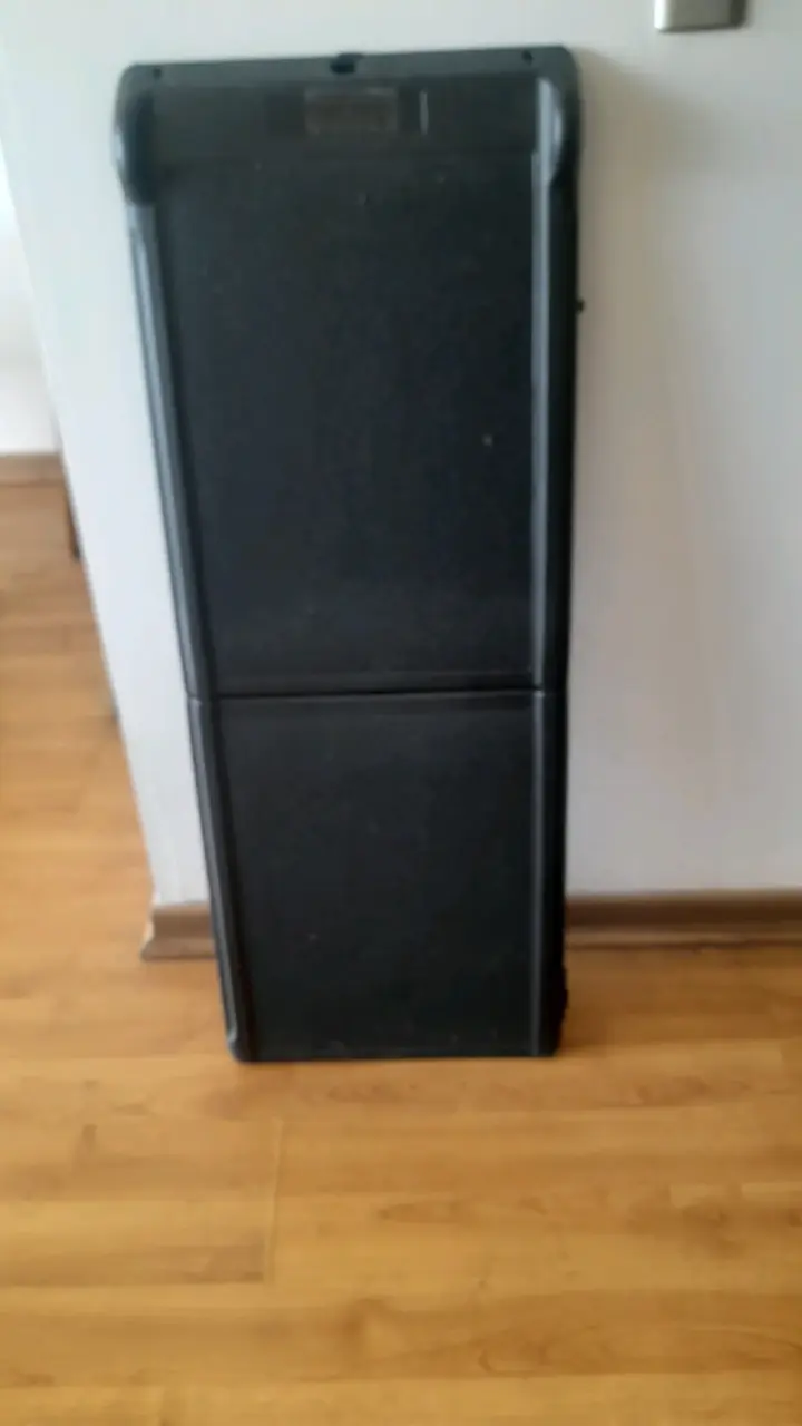 Rampa plegable para mascotas - 2
