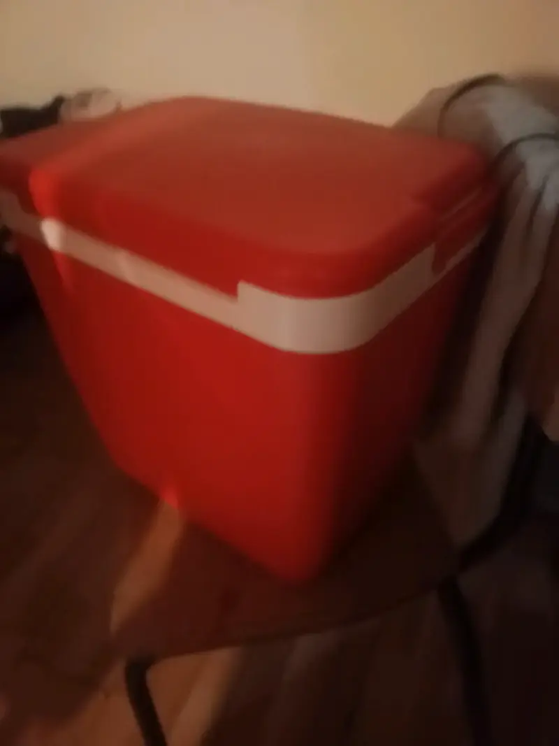 Nevera portátil roja
