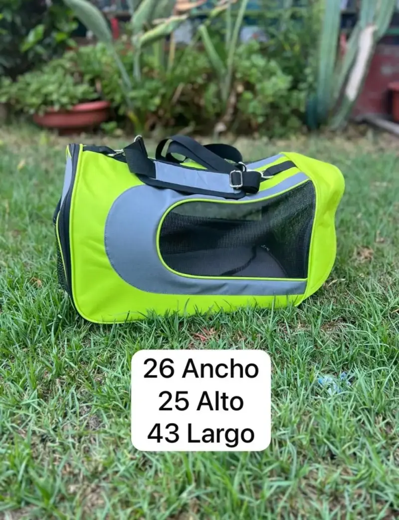 Bolso transportador verde para mascotas