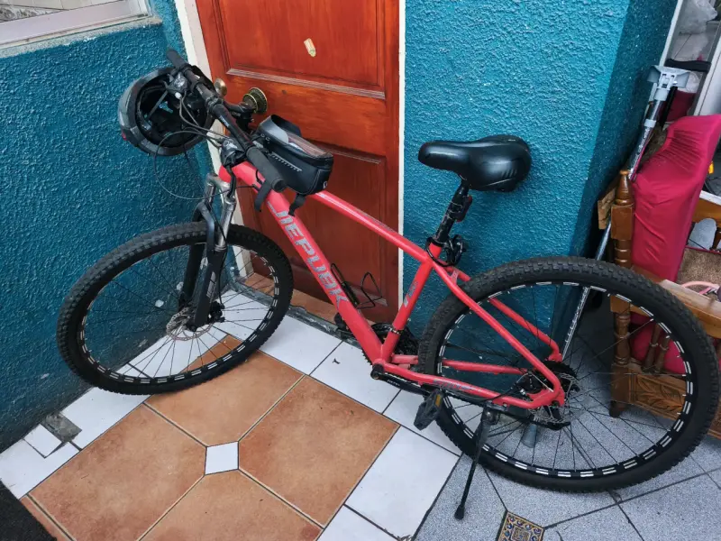 Bicicleta
