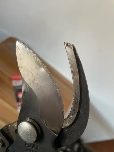 Tijeron de podar profesional - miniatura 6