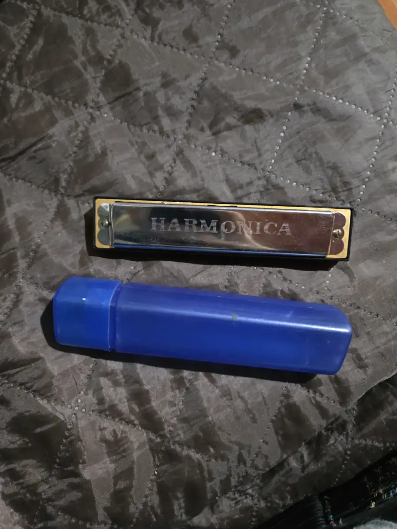 Armonica con estuche azul - 1