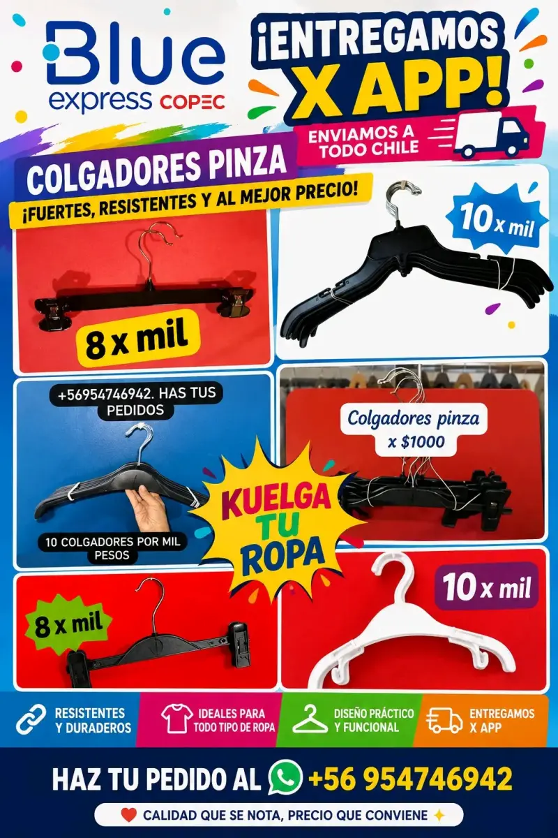 Colgadores de ropa pinza - 1