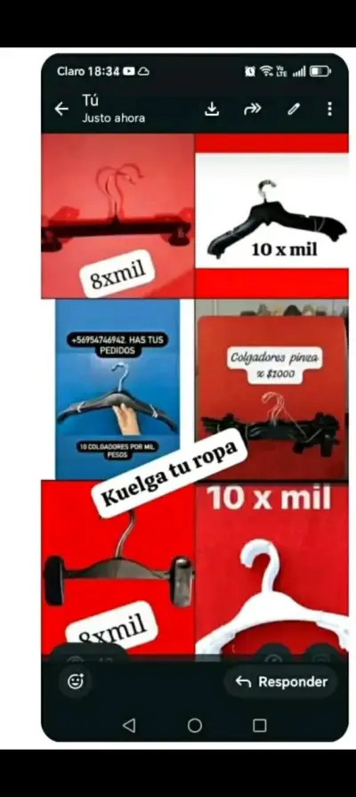 Colgadores de ropa pinza - miniatura 2