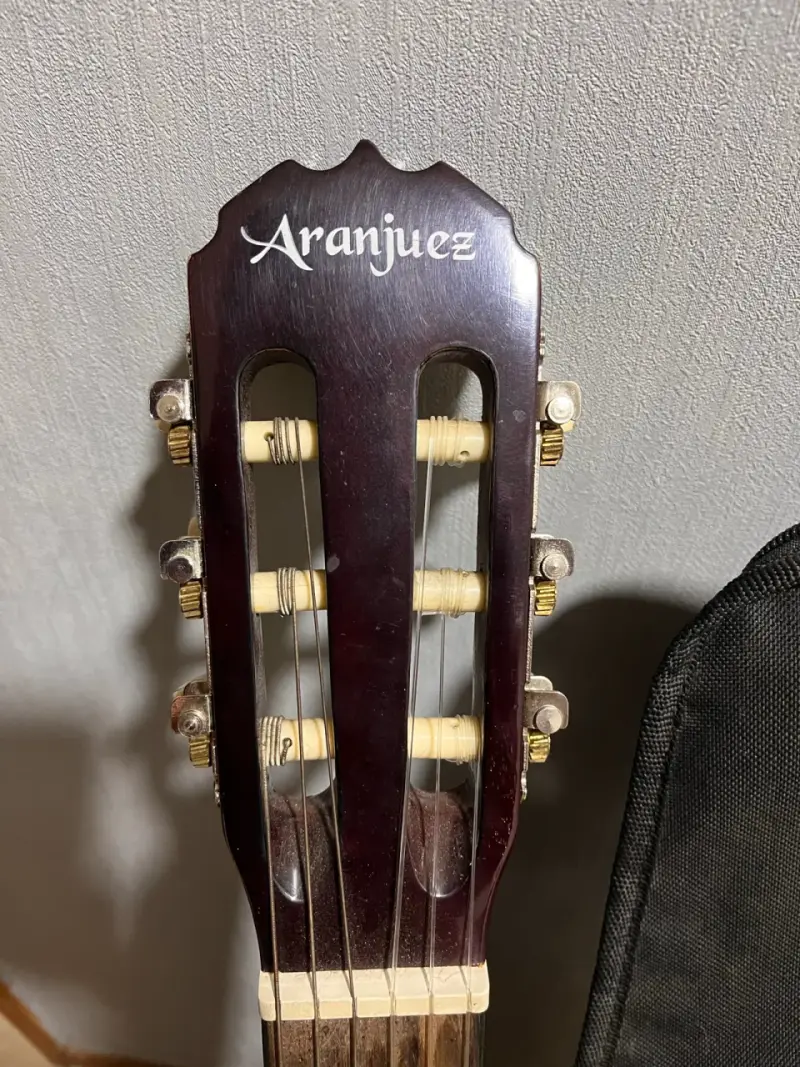 Guitarra con funda - 3
