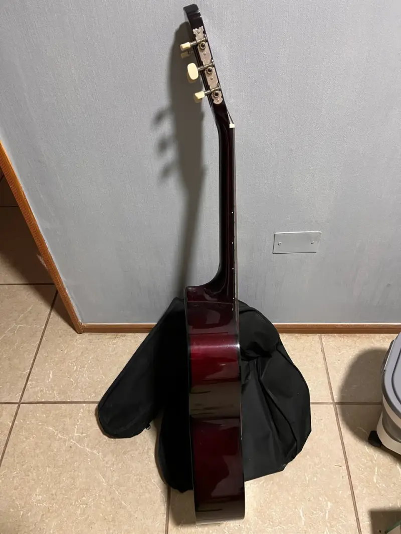 Guitarra con funda - 4