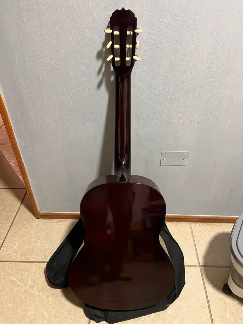 Guitarra con funda - 5