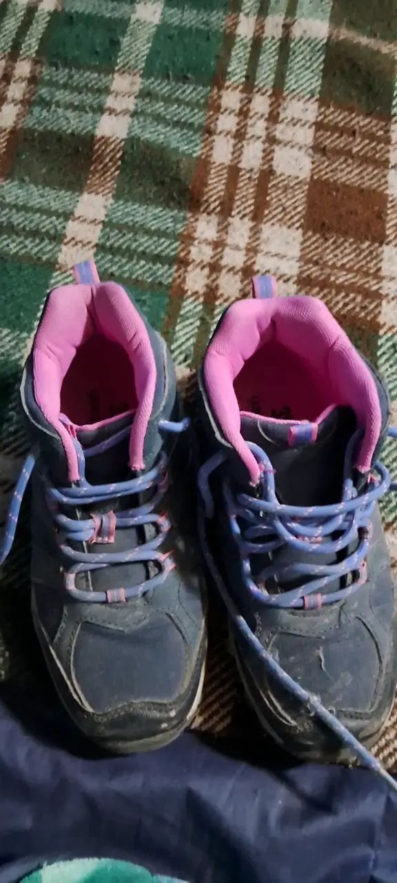 Zapatillas deportivas azul y rosa