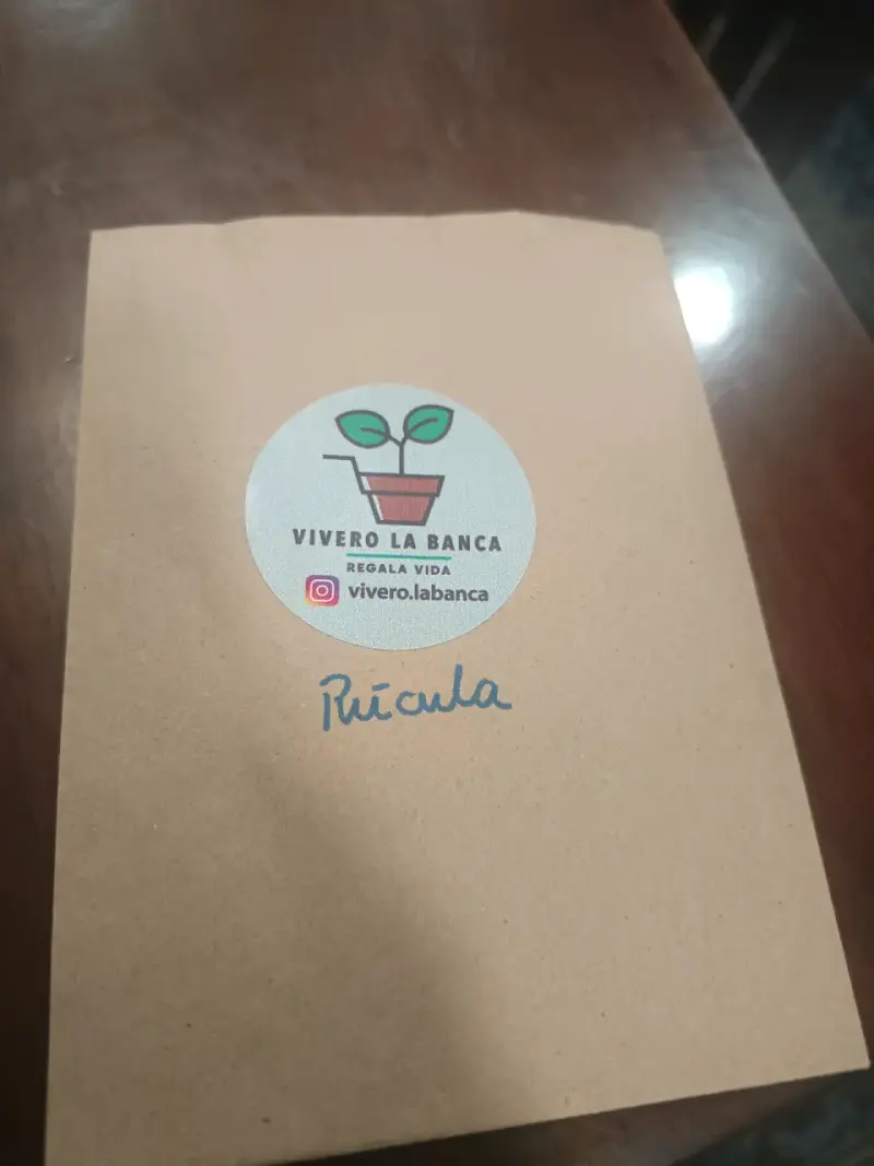 Semillas de rúcula Vivero La Banca