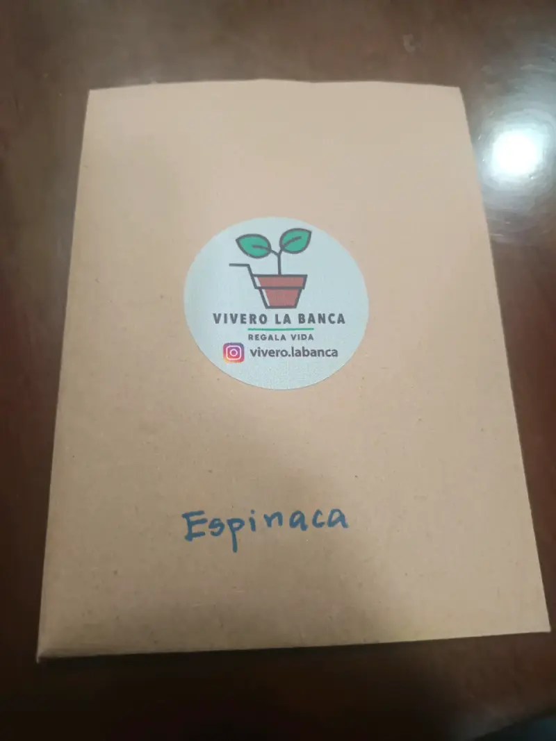 Semillas de rúcula Vivero La Banca - 2