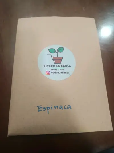 Semillas de rúcula Vivero La Banca - miniatura 2