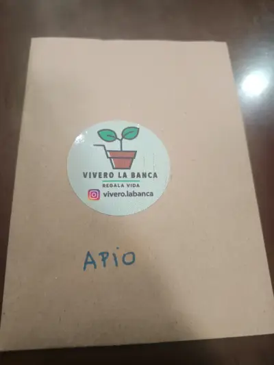 Semillas de rúcula Vivero La Banca - miniatura 4
