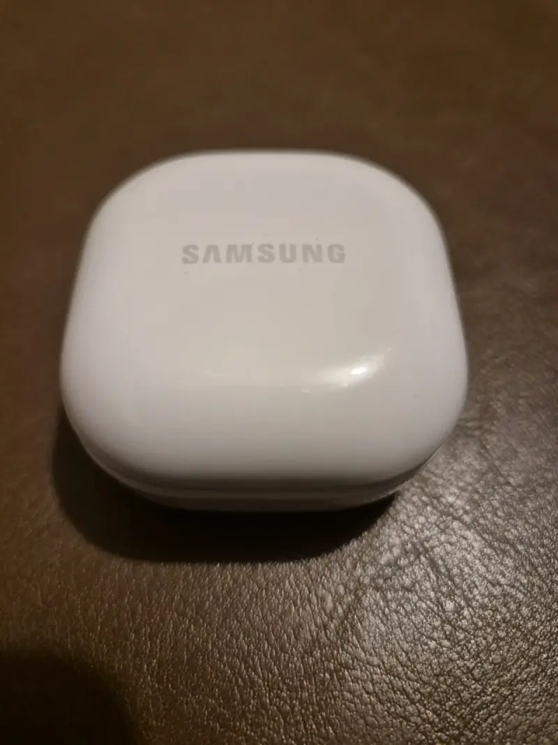 Auriculares con estuche Samsung Fe - 2