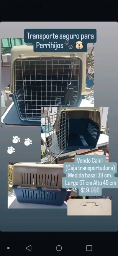 Transportadora para mascotas mediano/grande - miniatura 1