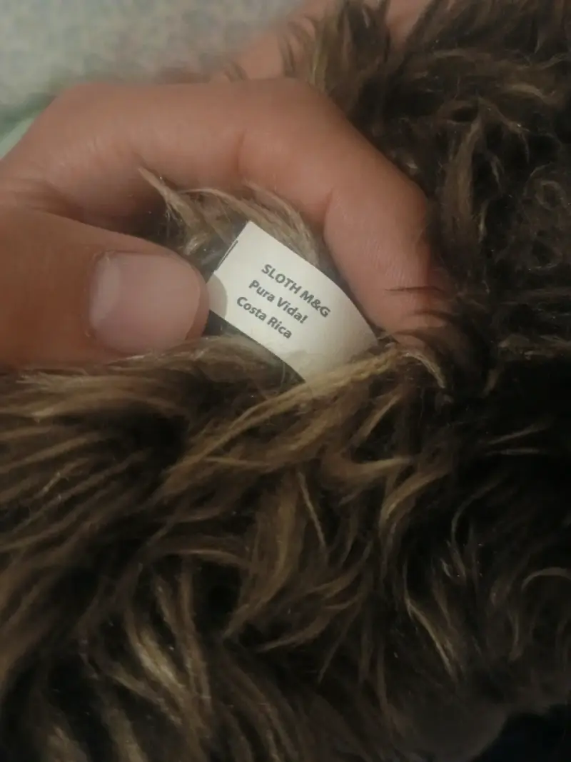 Peluche perezoso peludo - 3