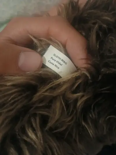 Peluche perezoso peludo - miniatura 3