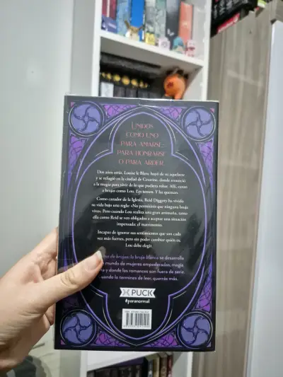 Libro 'Asesino de Brujas' - miniatura 3