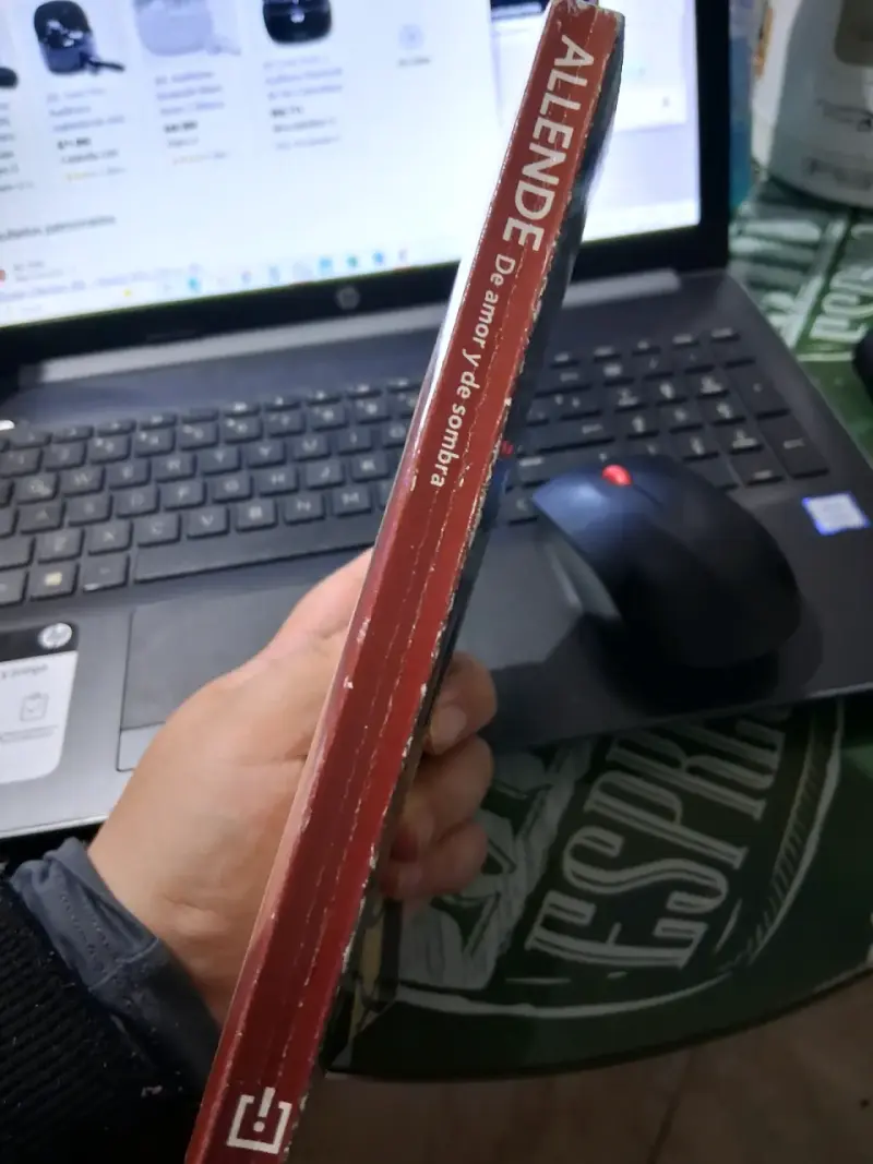Libro 'De amor y de sombra' Isabel Allende - 4