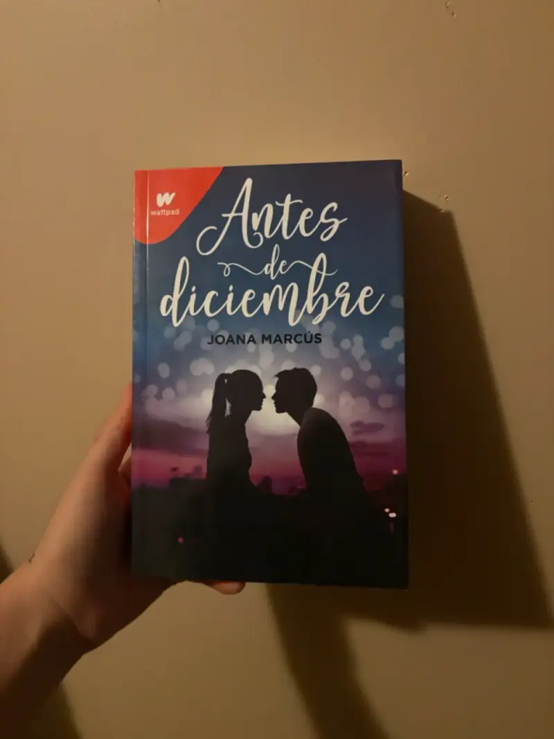 Libro 'Antes de diciembre'