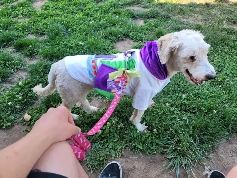 Disfraz mascota Buzz Lightyear - 2