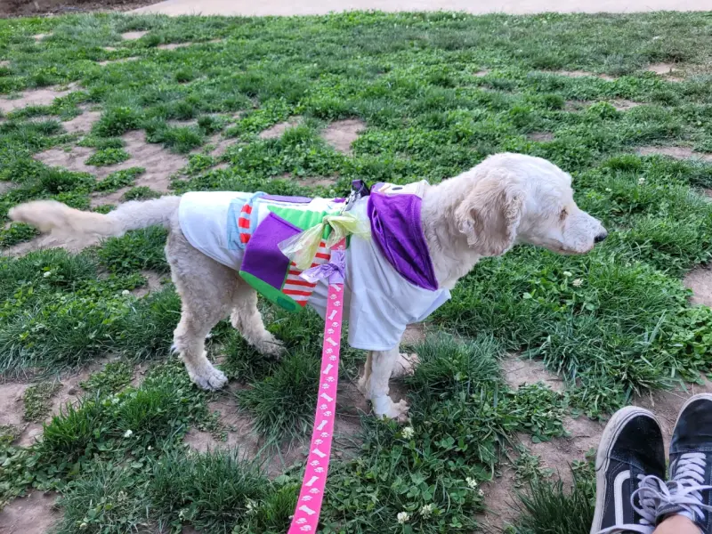 Disfraz mascota Buzz Lightyear - 3