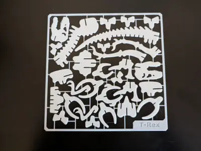 Esqueleto de dinosaurio armable - miniatura 2