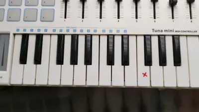 Controlador MIDI Worlde Tuna mini - miniatura 4