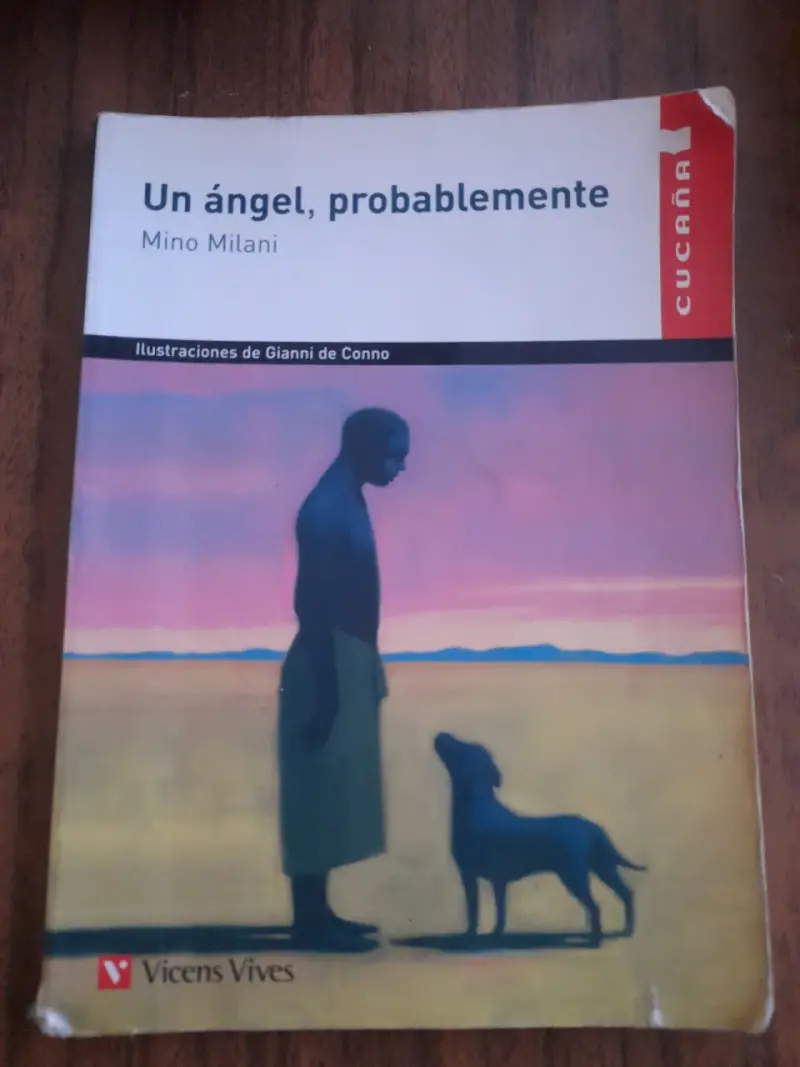 Libro Un ángel probablemente