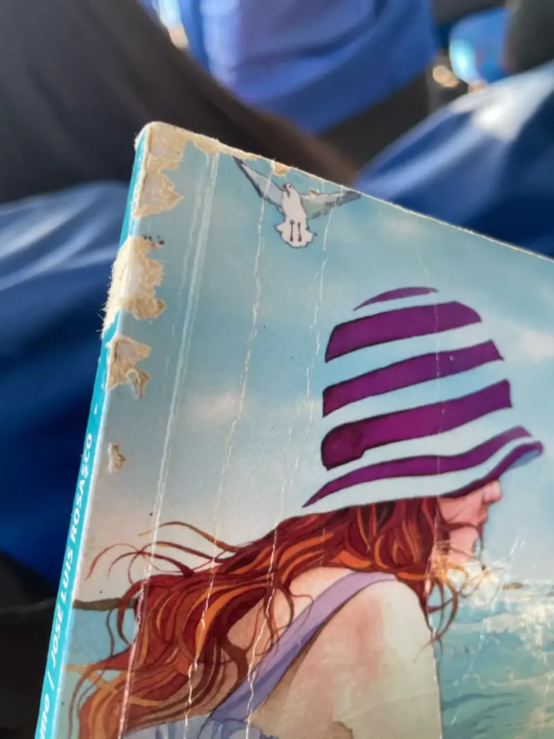 Libro 'Francisca, yo te amo' - 3