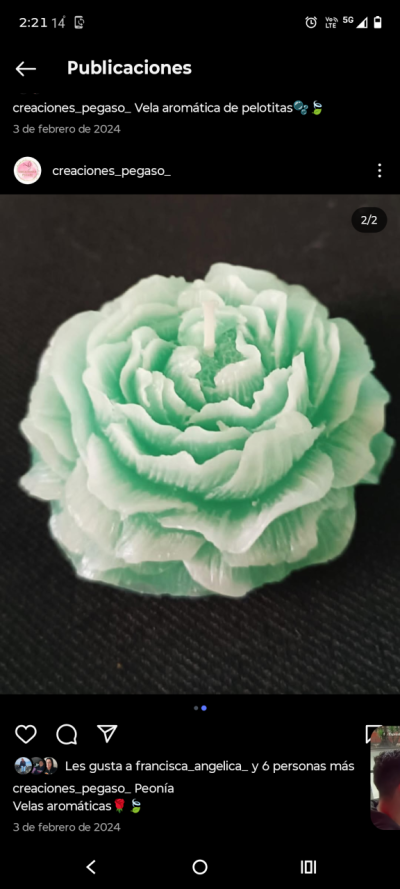 Vela aromática peonía - miniatura 1