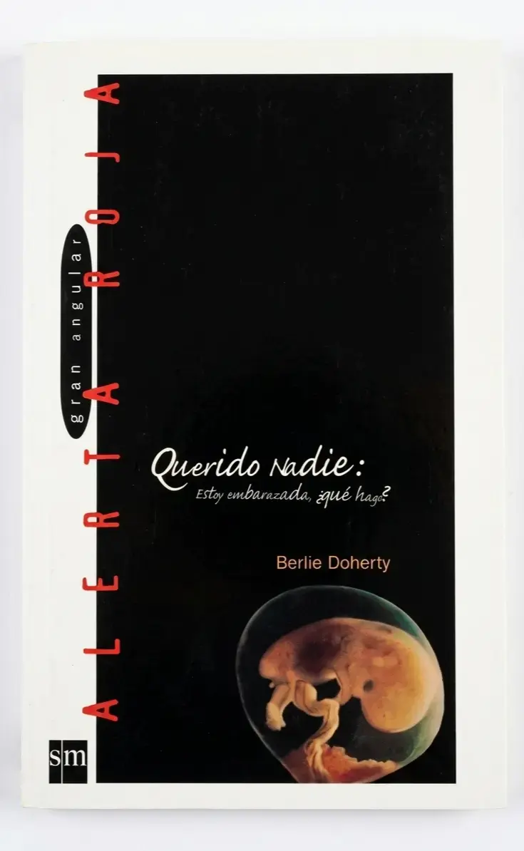 Libro 'Querido Nadie' Berlie Doherty - 1