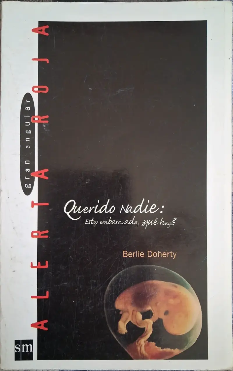 Libro 'Querido Nadie' Berlie Doherty - 2