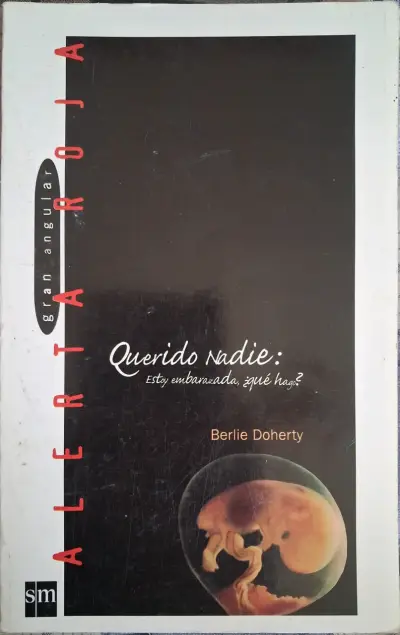 Libro 'Querido Nadie' Berlie Doherty - miniatura 2