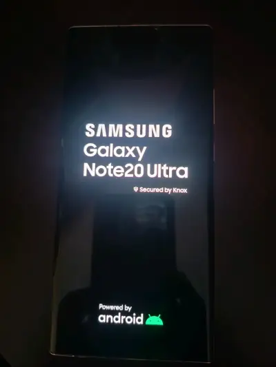 Samsung Galaxy Note20 Ultra - miniatura 1