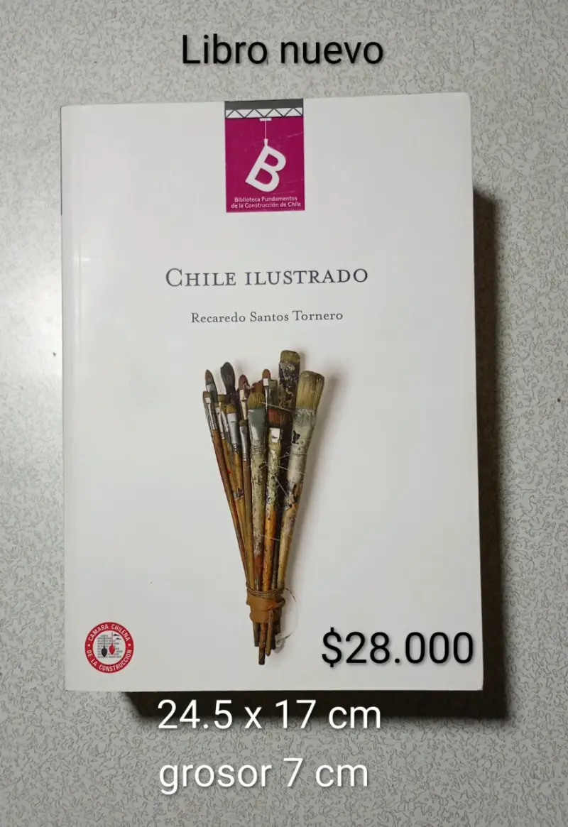 Historia de Chile - 3