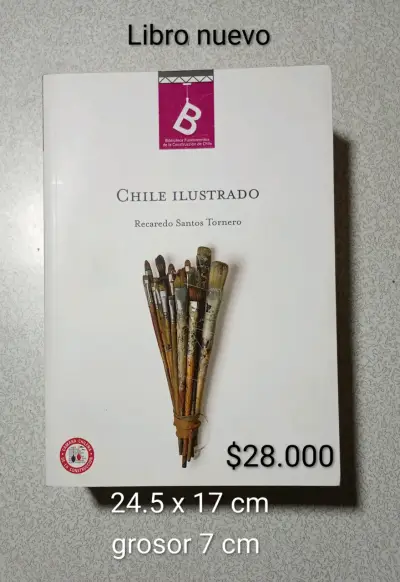 Historia de Chile - miniatura 3