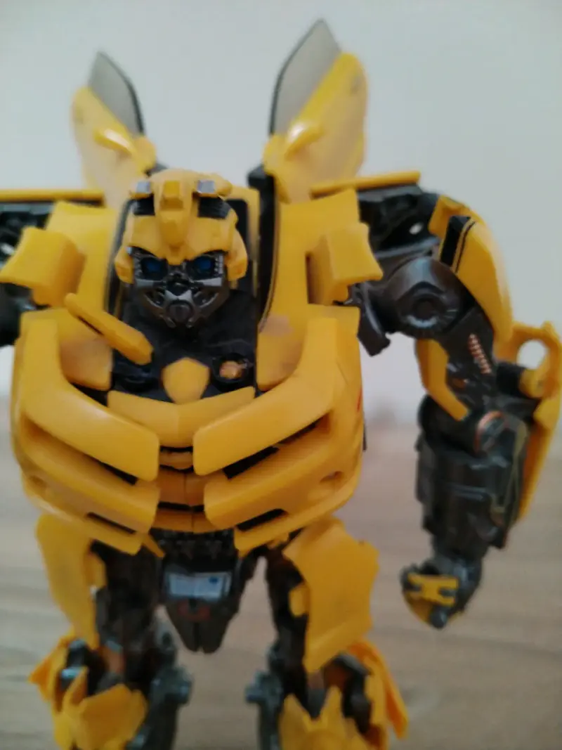 Bumblebee wasp warrior - 2