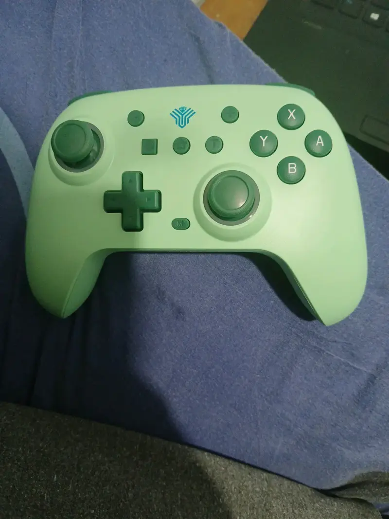 Control Pro Nintendo switch/Pc