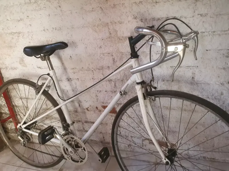 Bicicleta clásica vintage - 2