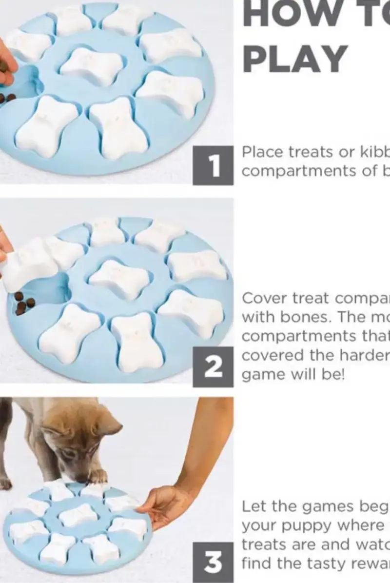 Juego interactivo para perros - 3