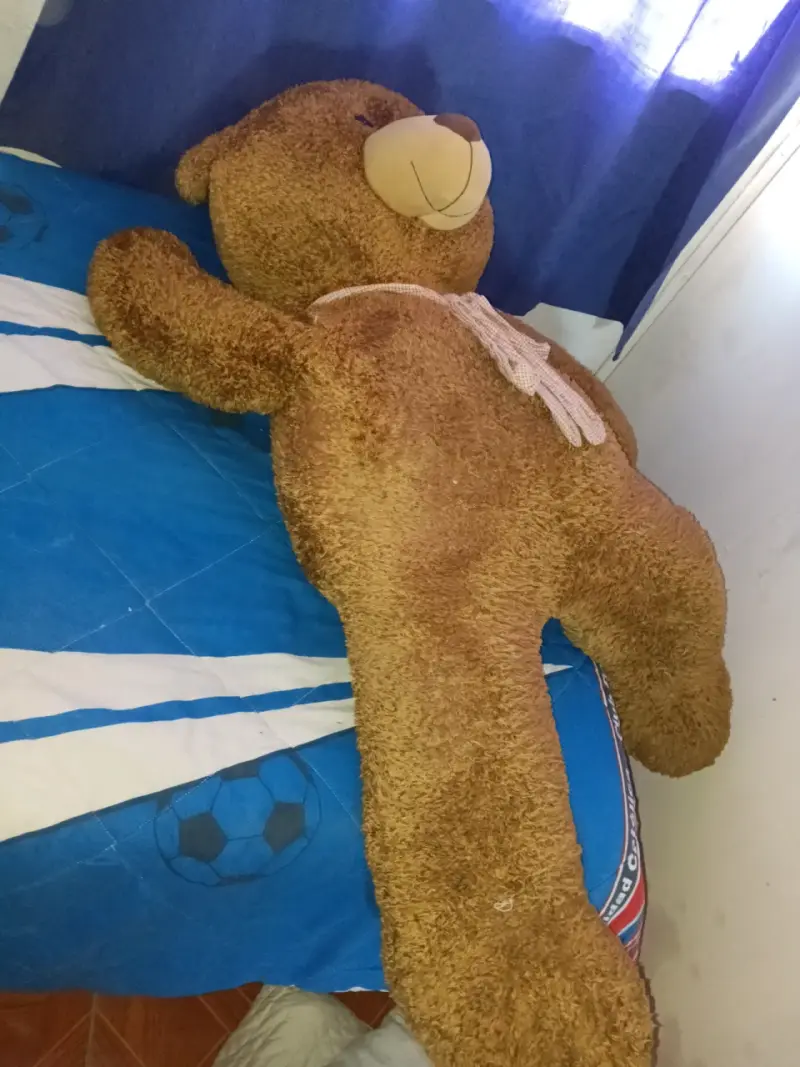 Osito de peluche gigante - 1