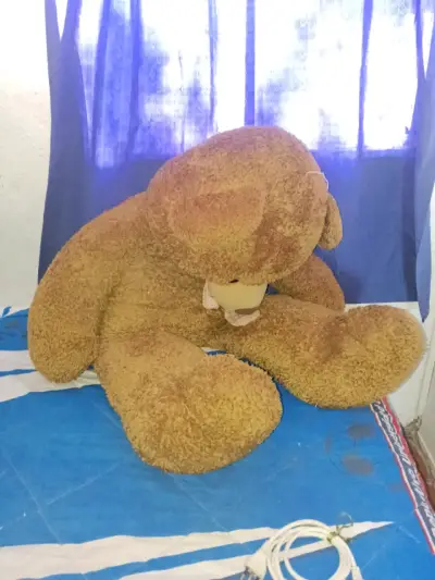 Osito de peluche gigante - miniatura 2
