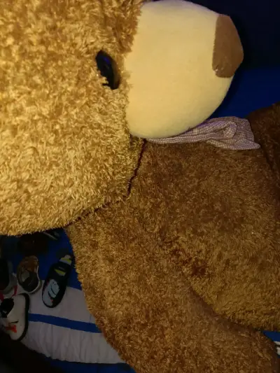 Osito de peluche gigante - miniatura 3